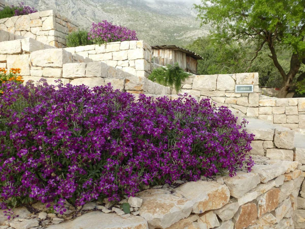 Kuca Za Odmor Viola Villa Zivogosce Ngoại thất bức ảnh